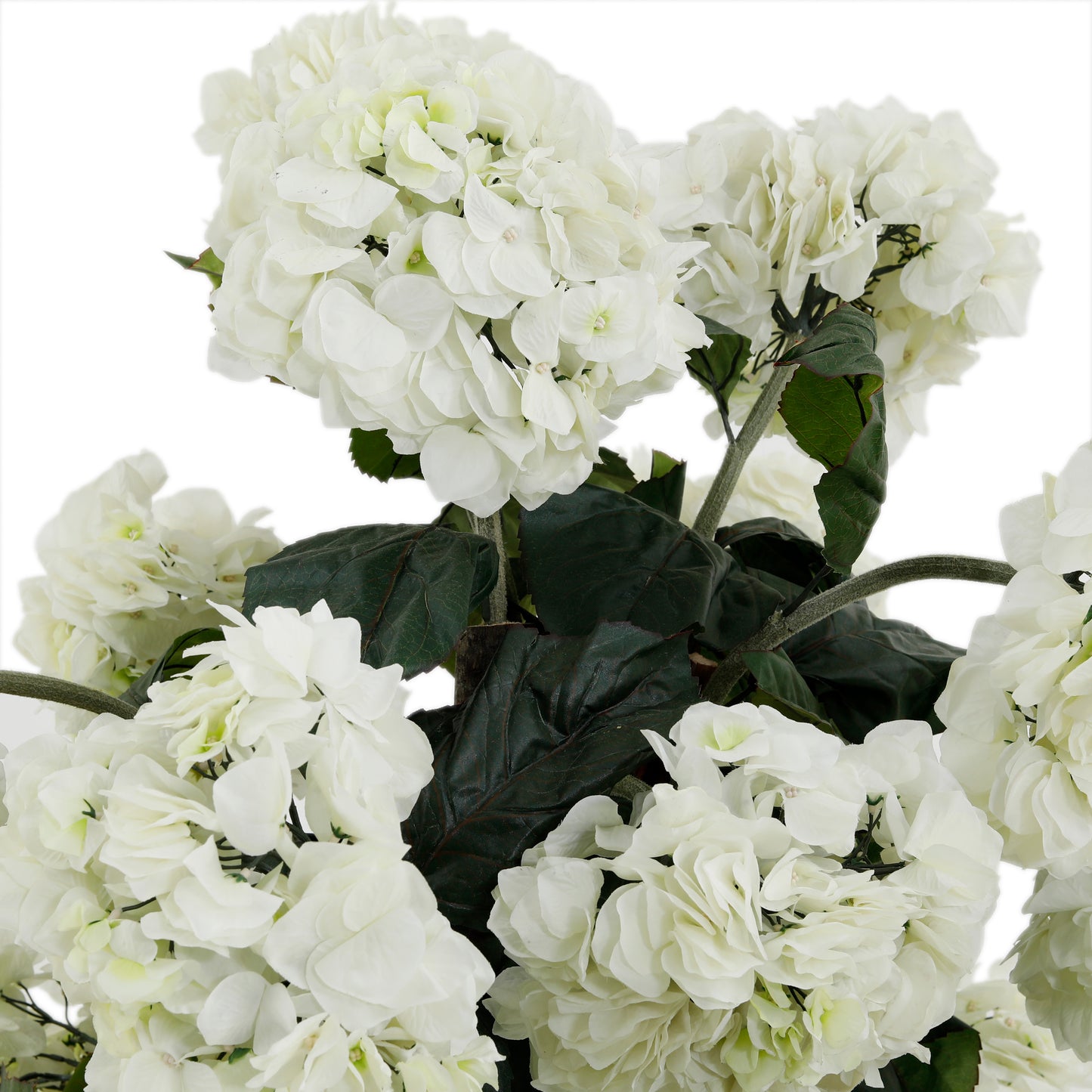 تنسيق الزهور | المعرض