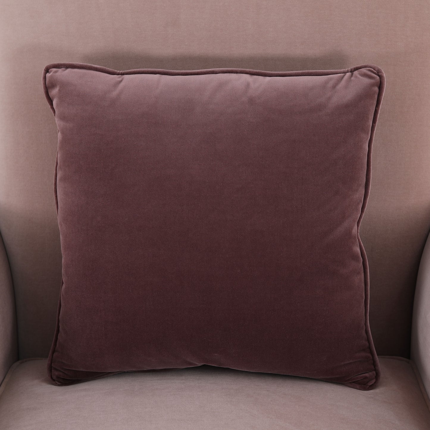Champagne Bergere | Christopher Guy