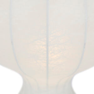 جاتو الطبعة الجديدة 2005 يورو.مصباح طاولة | فلوس