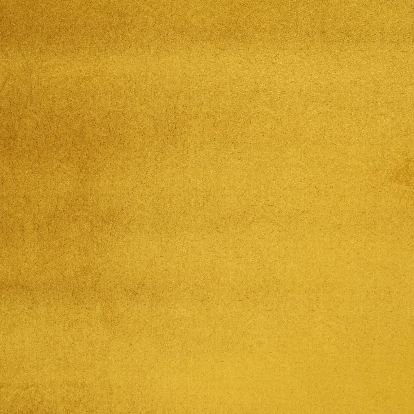 كاساندرا مختومة المخملية