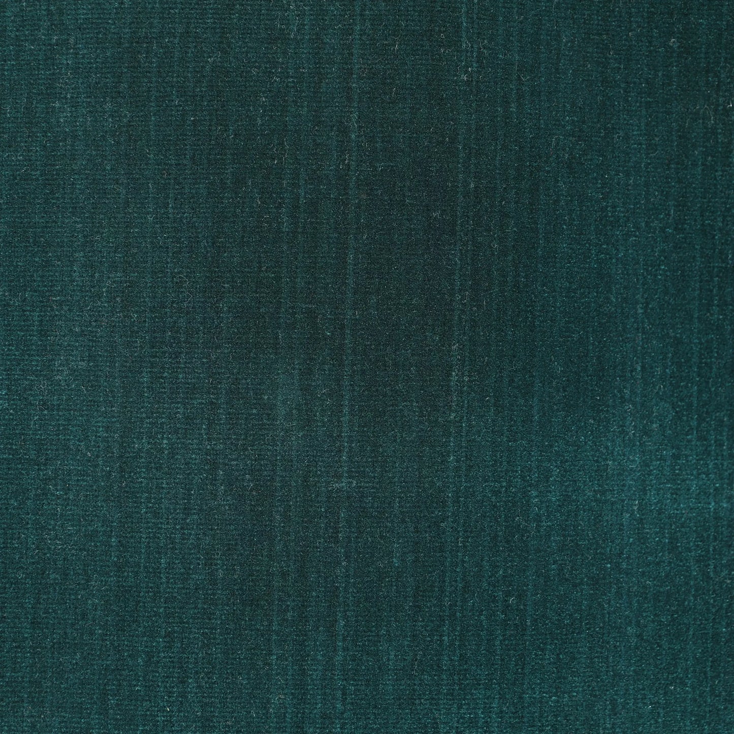 Mayfair cotton velvet