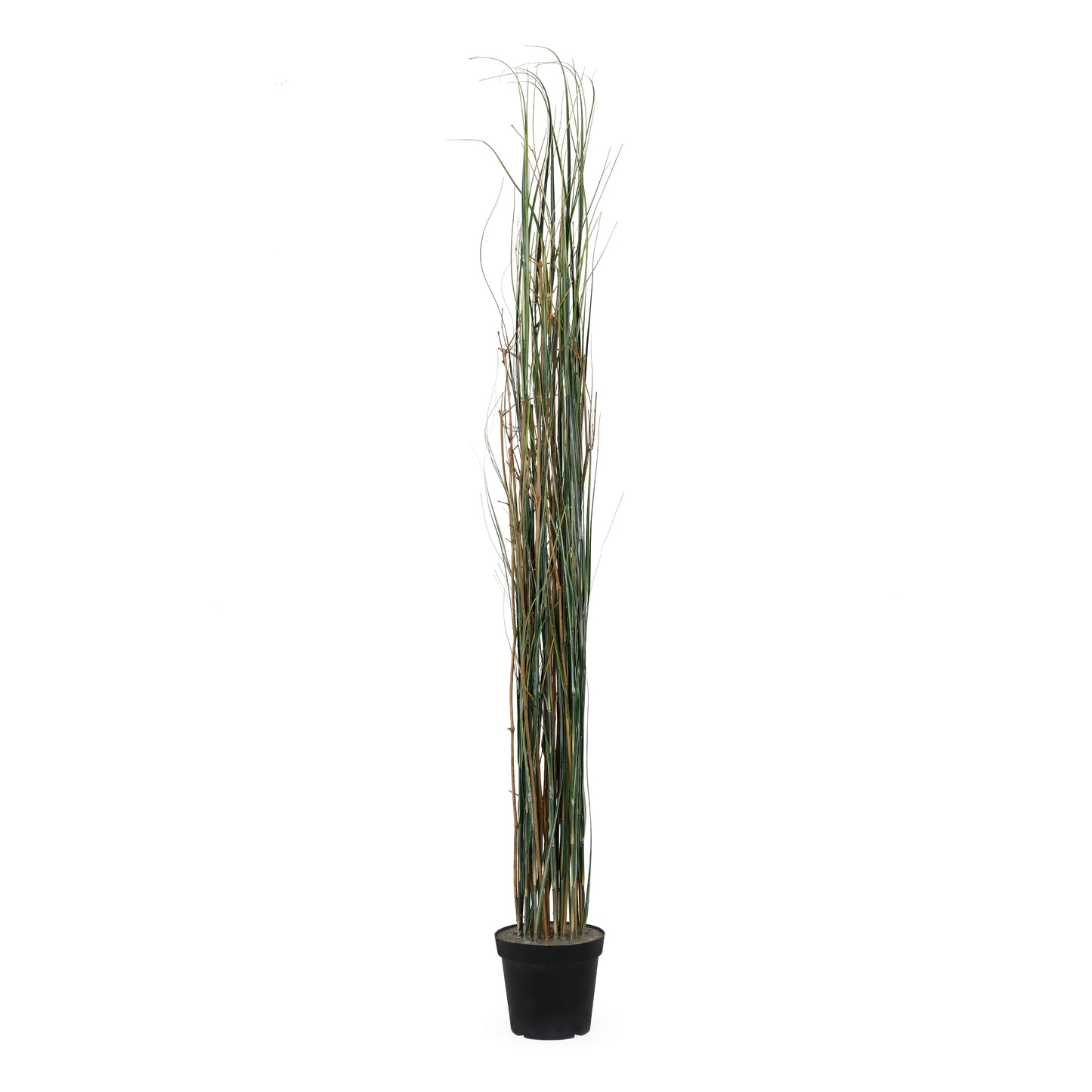 7' Grass Plant w/ Bamboo Stick | The Gallery