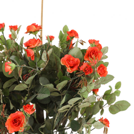 4' Rose Topiary | The Gallery