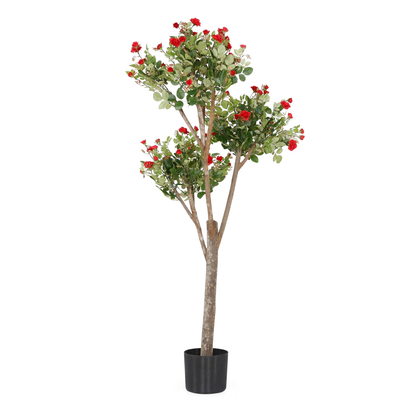 4' Rose Tree W 1600 LVS,20 FLR & 60 Bud Col 1 | The Gallery