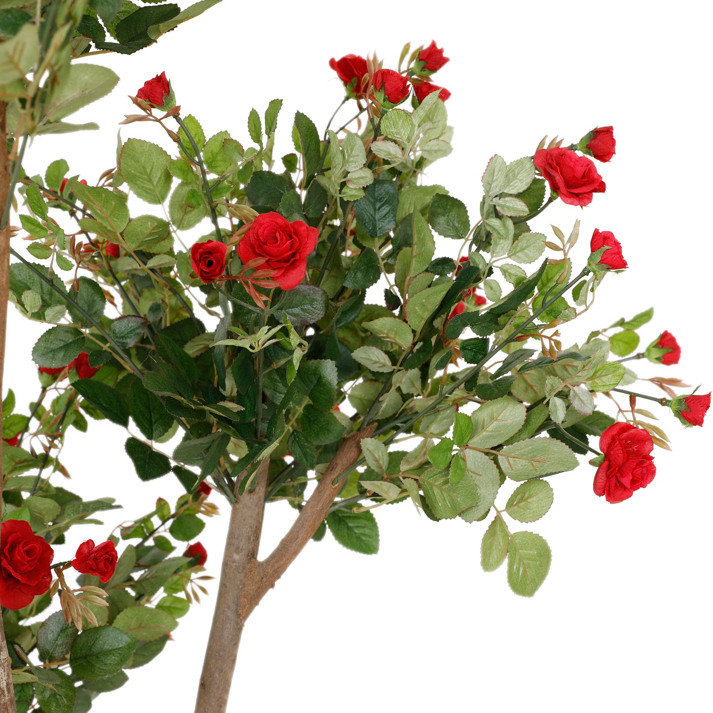 4' Rose Tree W 1600 LVS,20 FLR & 60 Bud Col 1 | The Gallery