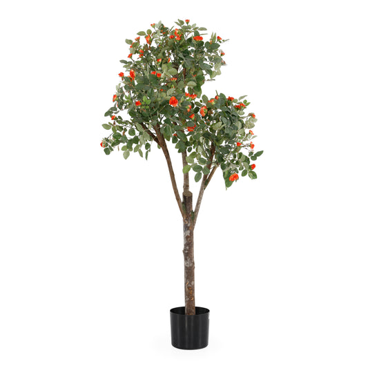 4' Rose Tree | The Gallery