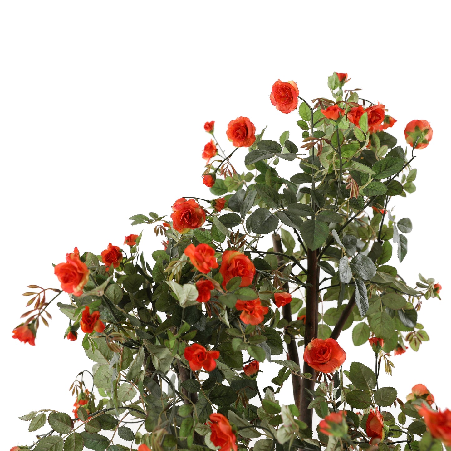 4' Rose Tree W 1600 LVS,20 FLR & 60 Bud Col 4 | The Gallery