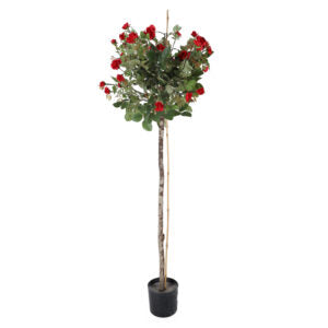 3' Rose Topiary | The Gallery