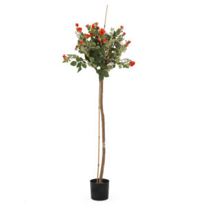 3' Rose Topiary | The Gallery