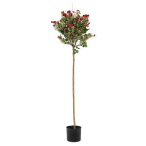 4' Rose Topiary | The Gallery