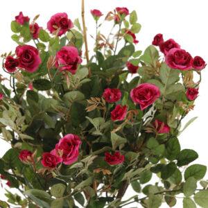 4' Rose Topiary | The Gallery