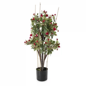 4' Mini Rose Garden Tree | The Gallery