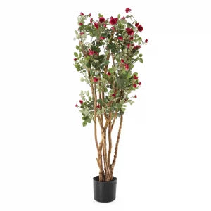 4' Mini Rose Garden Tree | The Gallery