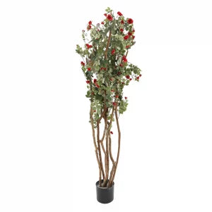 5' Mini Rose Garden Tree | The Gallery