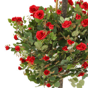 5' Mini Rose Double Topiary | The Gallery