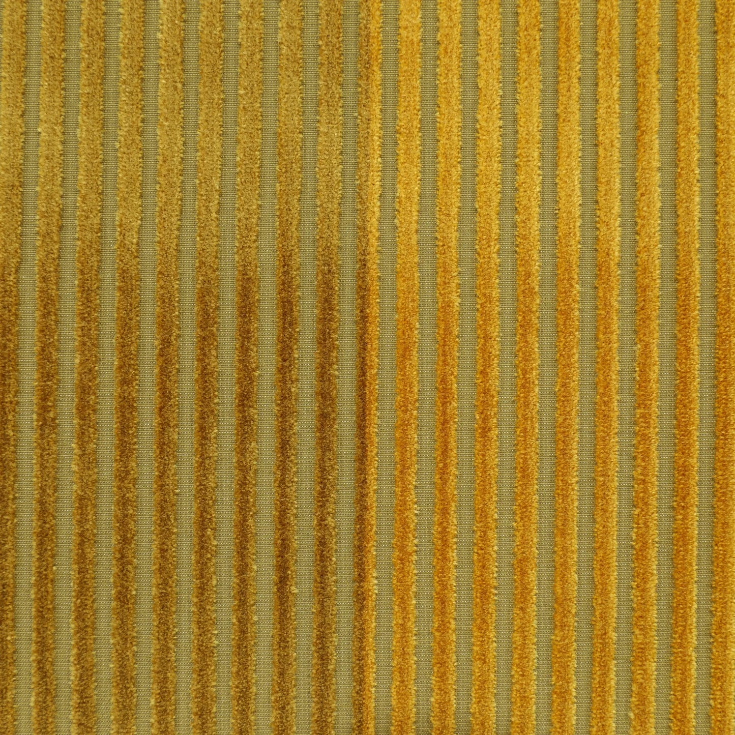 Andrew stripe cotton gold fabric