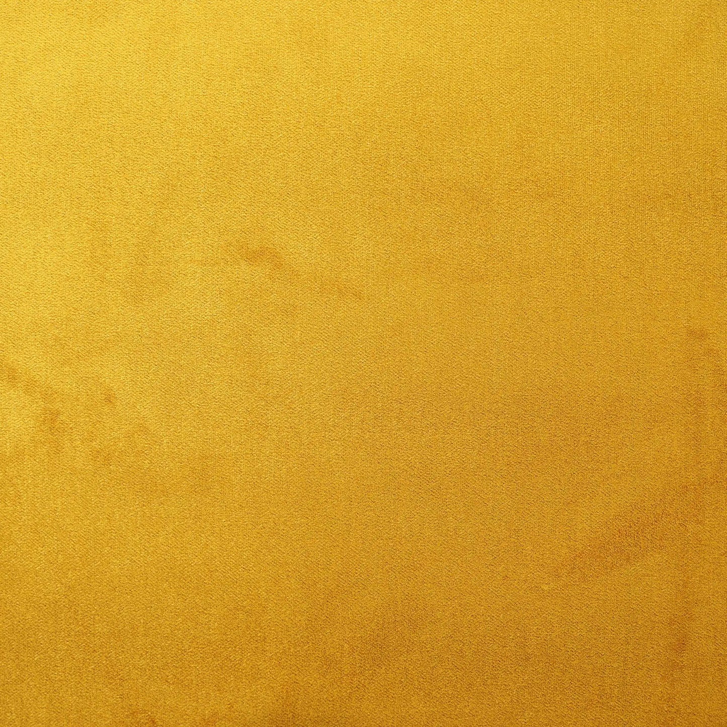 Alpachae Plain Gold Velvet