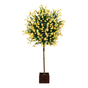 Tree With Yellow Flowers | The Gallery
